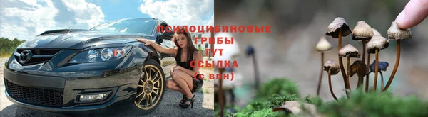 ПСИЛОЦИБИНОВЫЕ ГРИБЫ Арсеньев