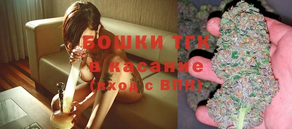 ПСИЛОЦИБИНОВЫЕ ГРИБЫ Арсеньев