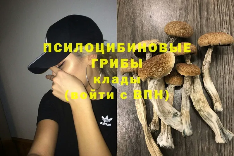 Псилоцибиновые грибы MAGIC MUSHROOMS  Вяземский 