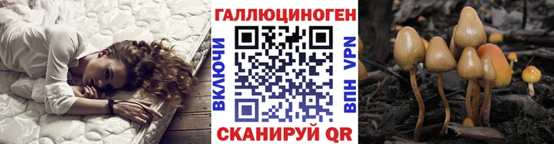 Галлюциногенные грибы прущие грибы  даркнет сайт  Вяземский 